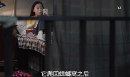 小男孩爆料姐姐视频,引发网友热议